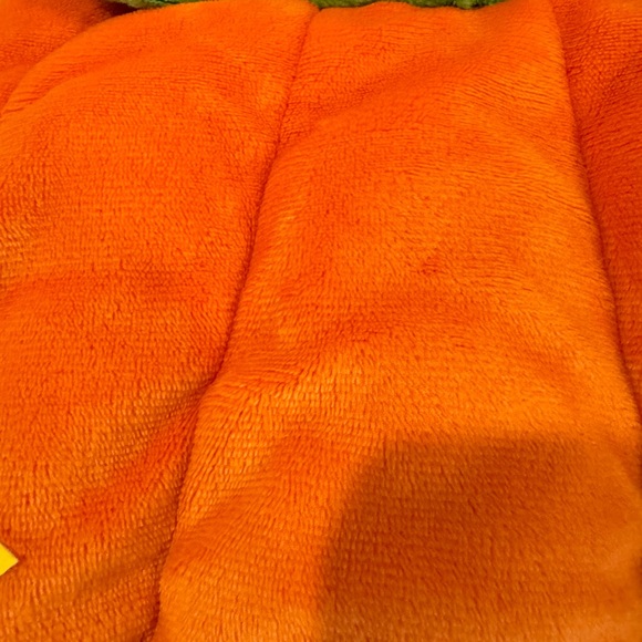 Pumpkin Halloween costume. Size 12 months. Like New - Picture 2 of 4